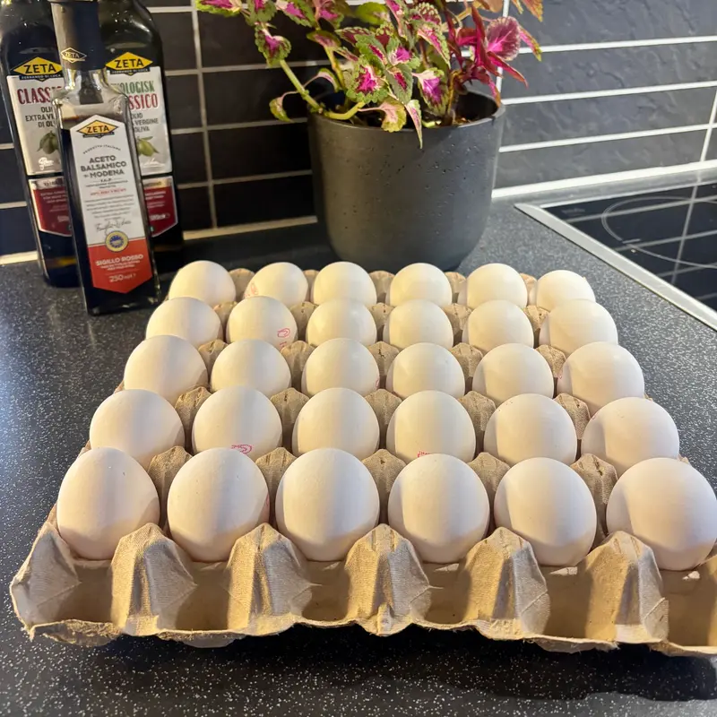 30 ägg M Lösvikt frigående