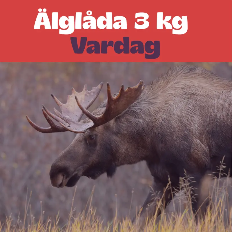 Älglåda 3 kg