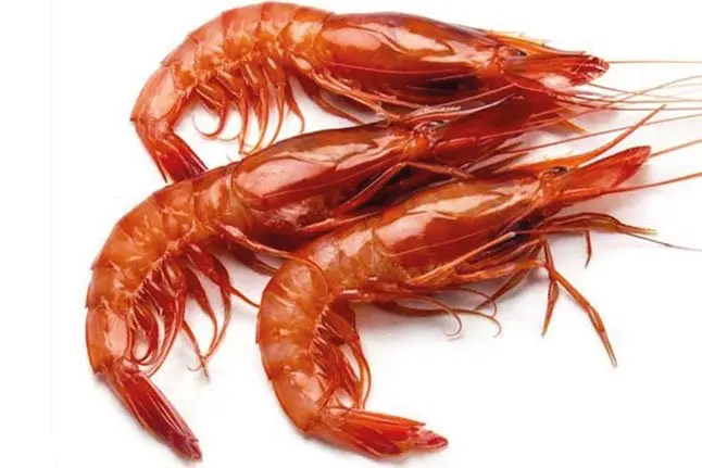 Argentinska Rödräkor