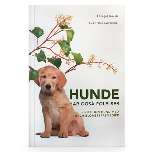 Bach Hundar har också Känslor BOK Författare