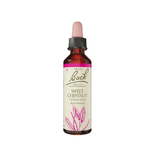 Bach Original Blomsterremedier | Äkta Kastanj