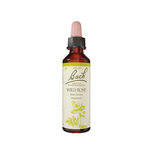 Bach Original Blomsterremedier | Nyponros