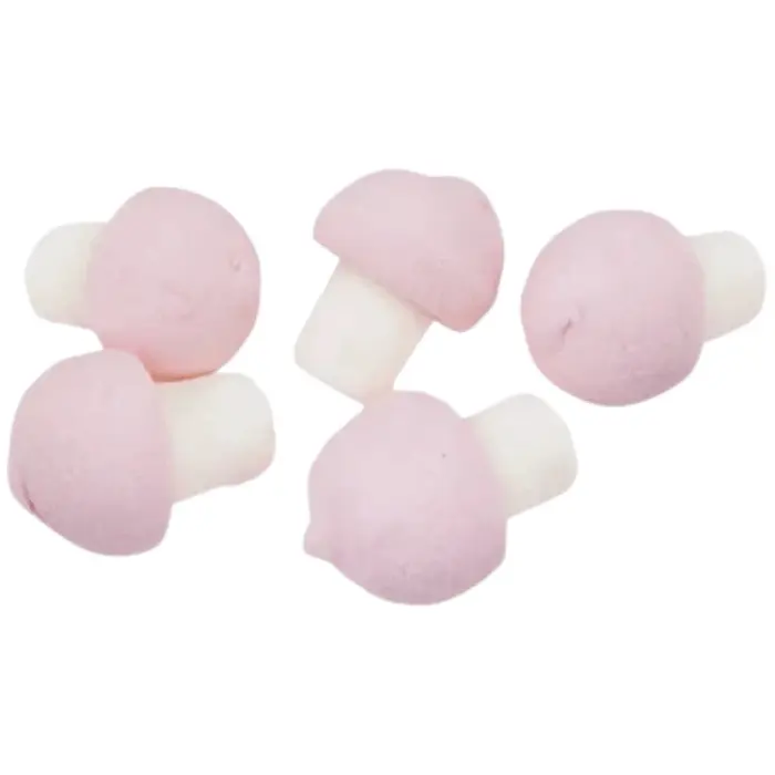 Bulgari Skumma Svampar 0,9 KG