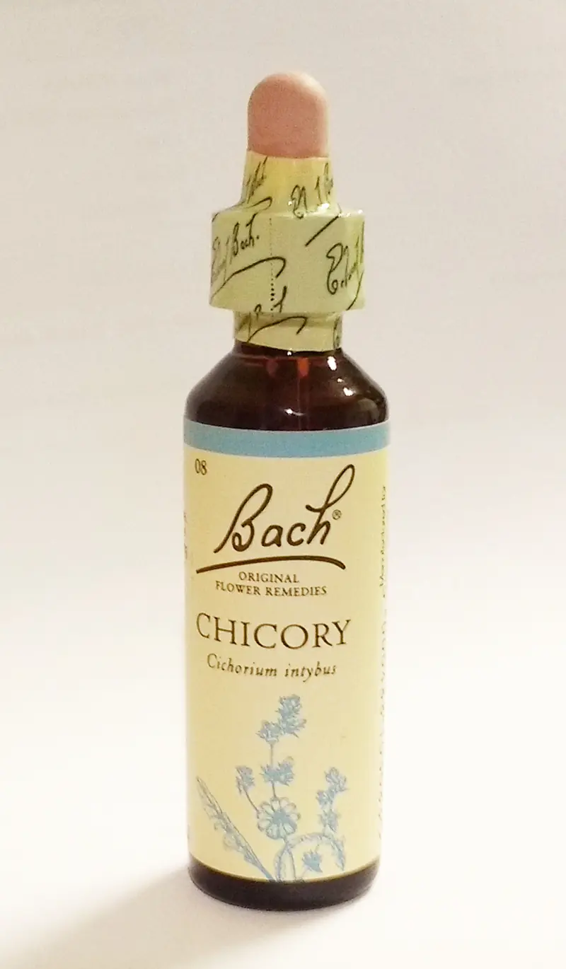 Chicory blomsterdroppar (Cikoria) No 8, 20 ml