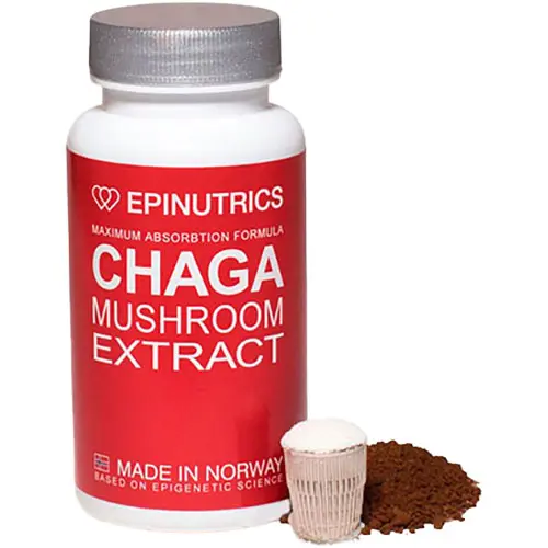 Epinutrics Epi-chaga | 60 kapslar