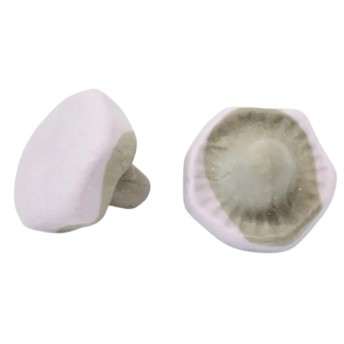 Franssons Skumsvamp Viol/Lakrits 1 KG