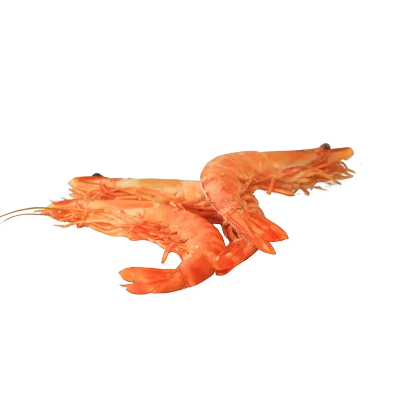 Gambas 10/15