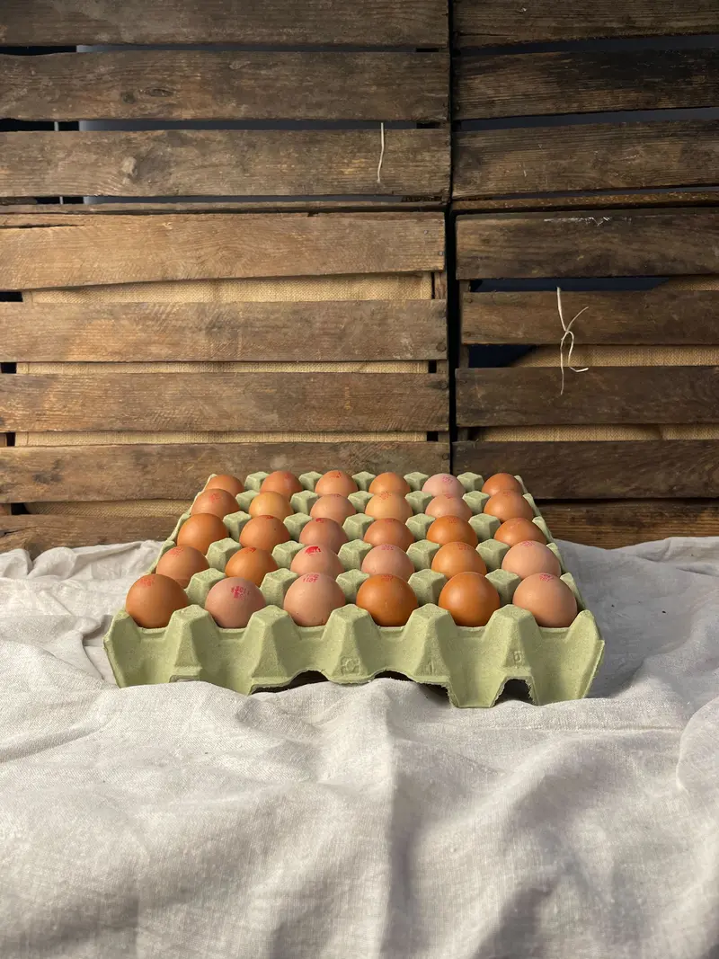 Grönbetesägg
