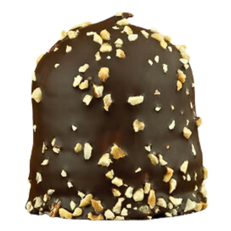 Hazelnut mörk choklad - Hazelnut dark (Rocher)