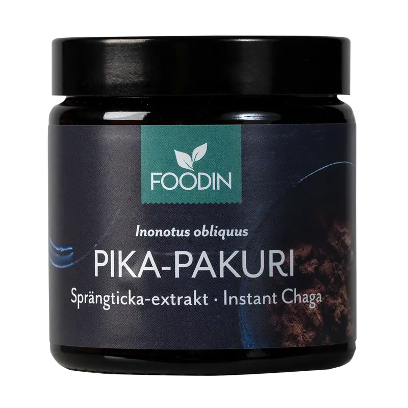 Instant chaga, 40 g