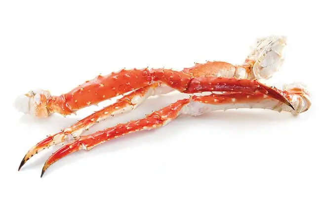 King Crab / Kungskrabba