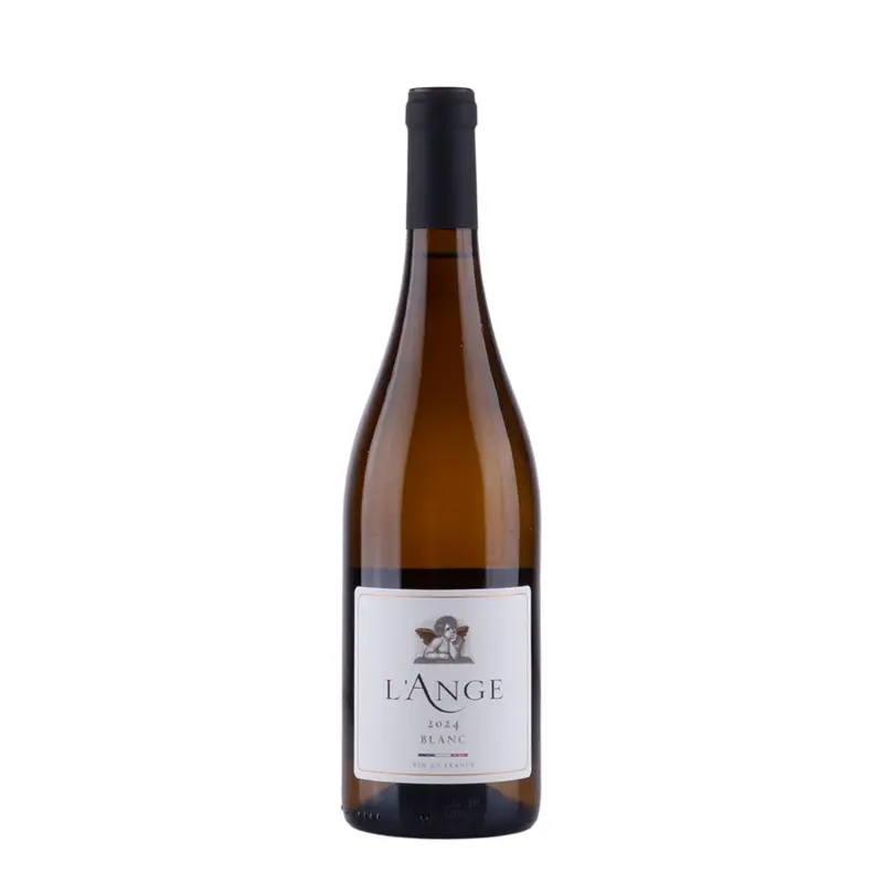 L'Ange Blanc - 2024