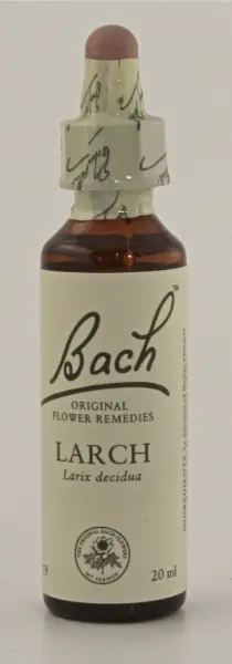 Larch blomsterdroppar (Lärk) No 19, 20 ml