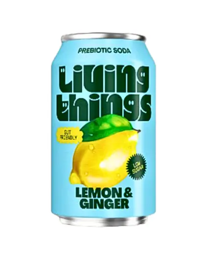 Living Things Lemon & Ginger 33cl burk 12-pack