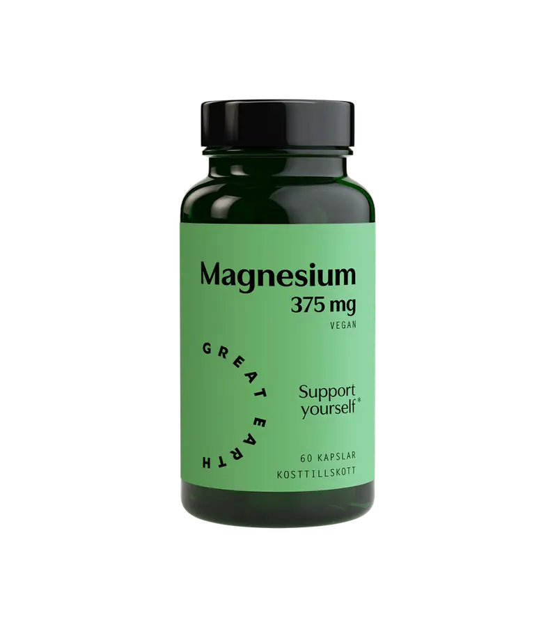 Magnesium 375 mg 100t