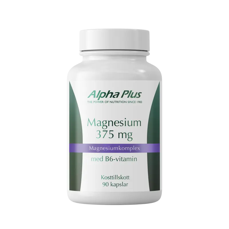 Magnesium 375 mg 90 kap