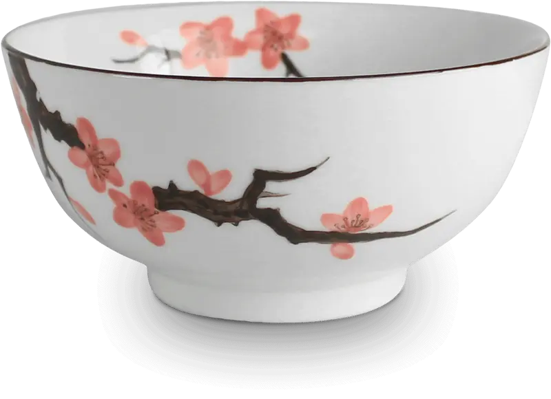 Mellanstor skål med Sakura-motiv. Storlek