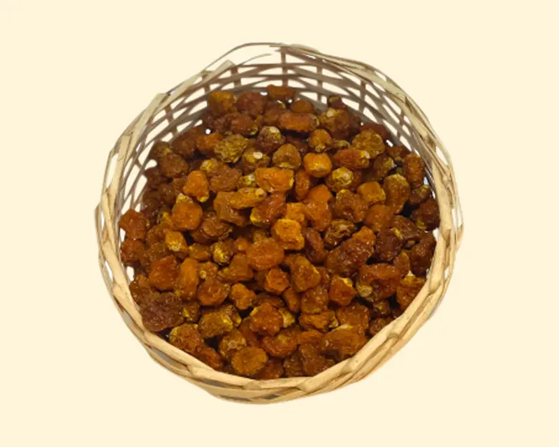 Physalis