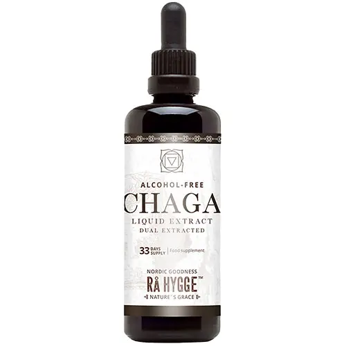 Rå Hygge Chaga Koncentrerat Flytande Extrakt Ekologisk | 100 ml