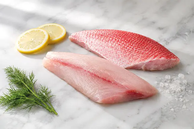 Red Snapper