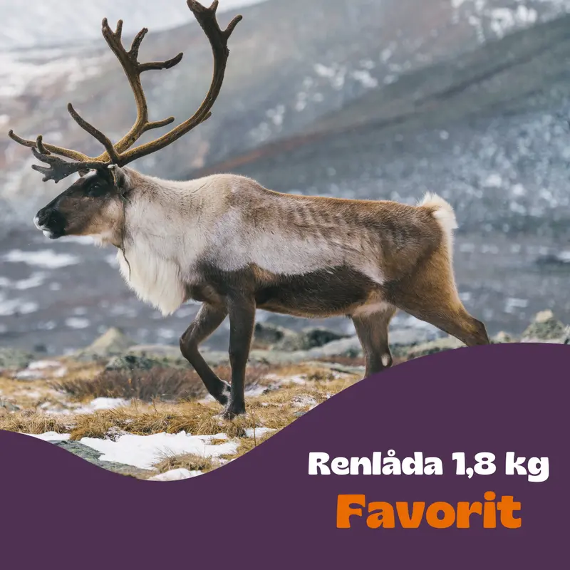 Renlåda Favorit