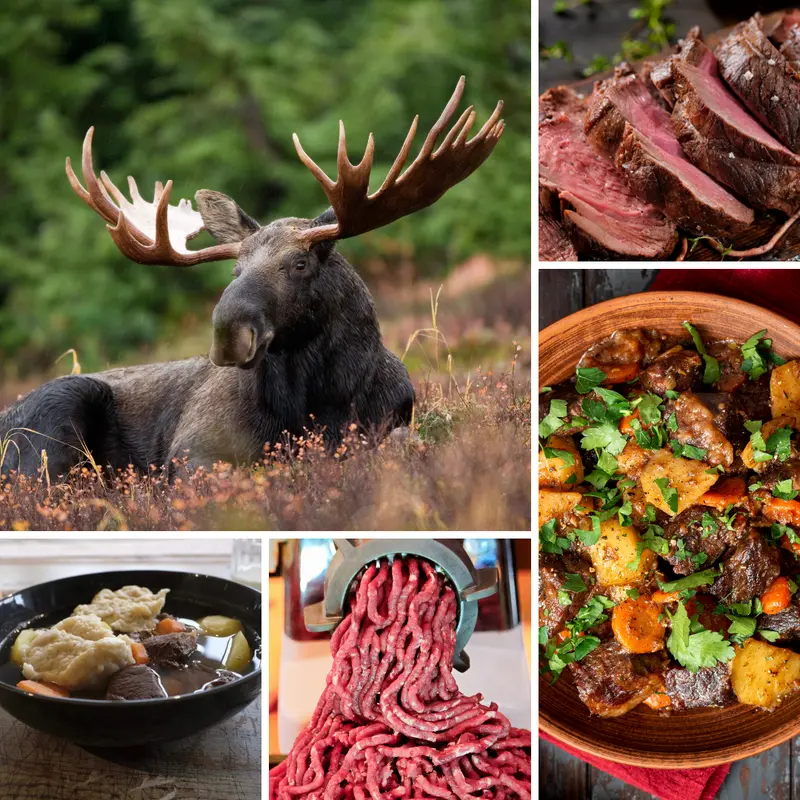 Säsongens älgköttlåda från Norrbotten