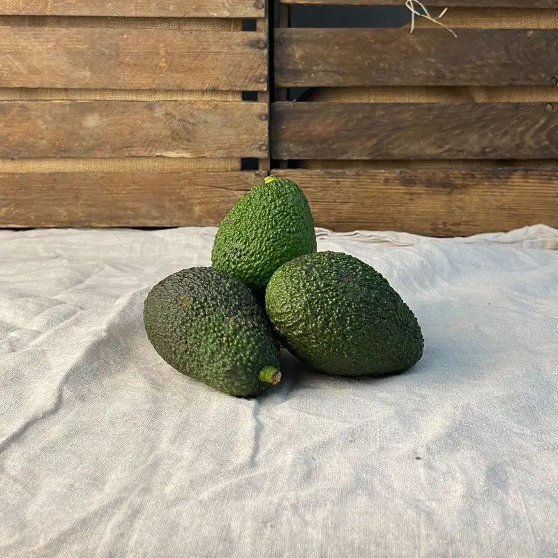 Stora avokado EKO 660g