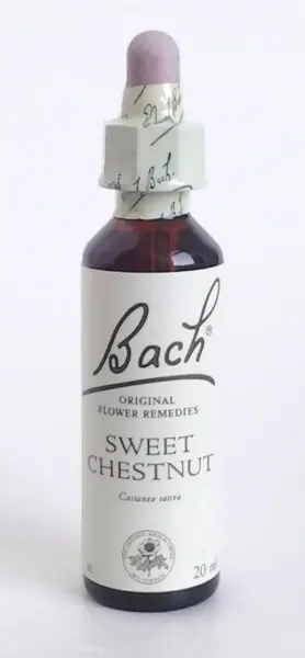 Sweet Chestnut blomsterdroppar (Äkta kastanj) No 30, 20 ml