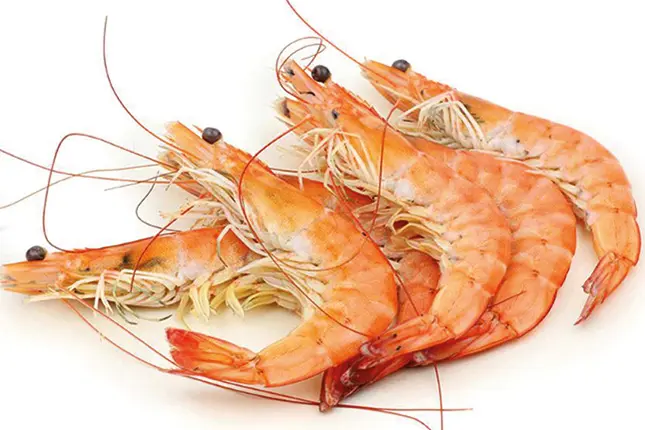 Tapasfavoriten Gambas