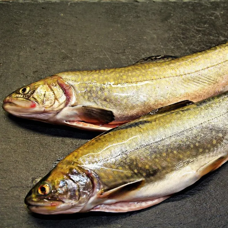 Vildfångad röding 356-357g