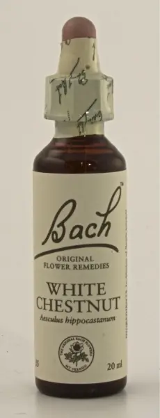 White Chestnut blomsterdroppar (Vit kastanj) No 35, 20 ml